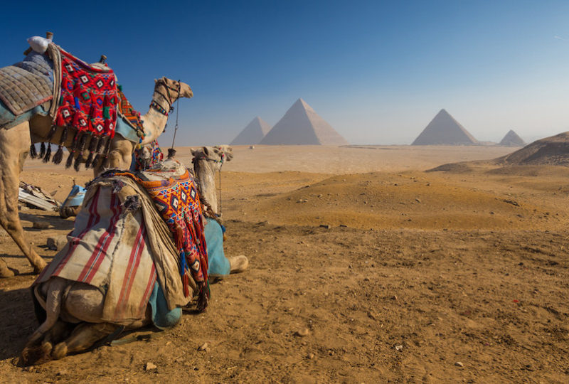 take-a-camel-ride-to-the-pyramids-of-giza-egypt