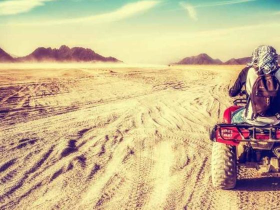 safari-bike